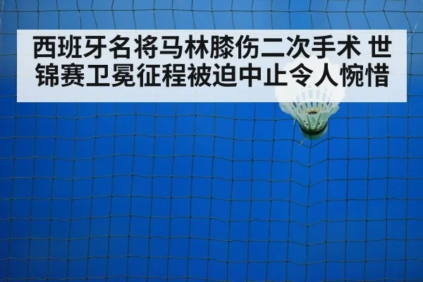 badminton training court